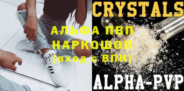 спайс Арсеньев
