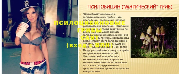 спайс Арсеньев